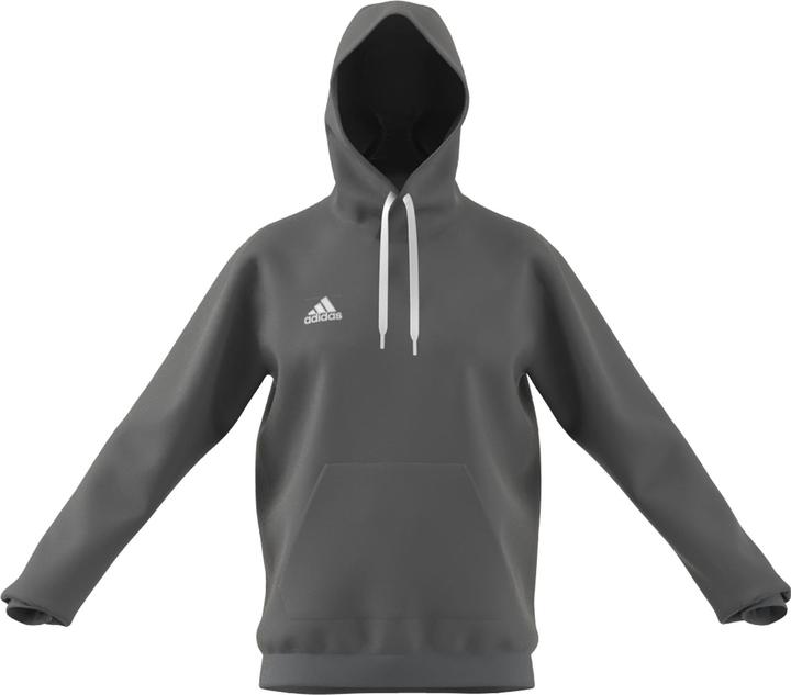 Actual product image adidas Entrada 22 hoodie men (XS)