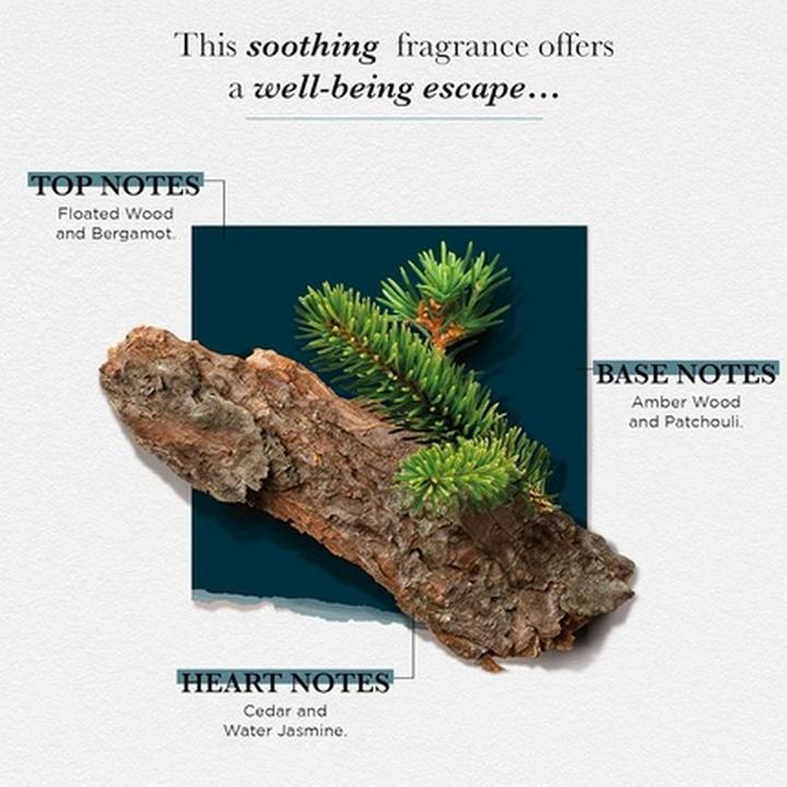 Immagine prodotto Solinotes Cèdre Eau de Parfum (Eau de parfum, 50 ml)