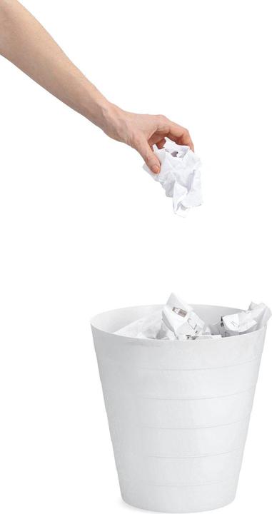 Immagine prodotto Zeller Present Pattumiera (13.50 l)