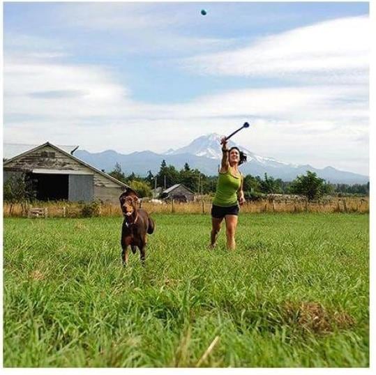 Immagine prodotto Chuckit! Palla tascabile fionda 30cm giocattolo per cani (Reperimento)