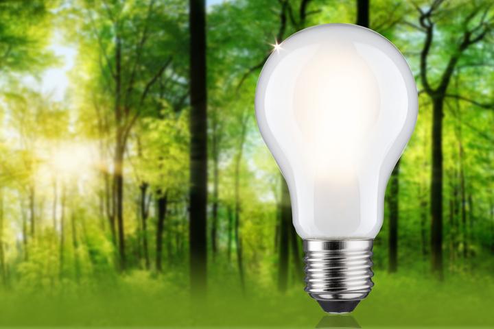 Produktbild Paulmann AGL Eco-Line (E27, 5.70 W, 1055 lm, 1 x, B)