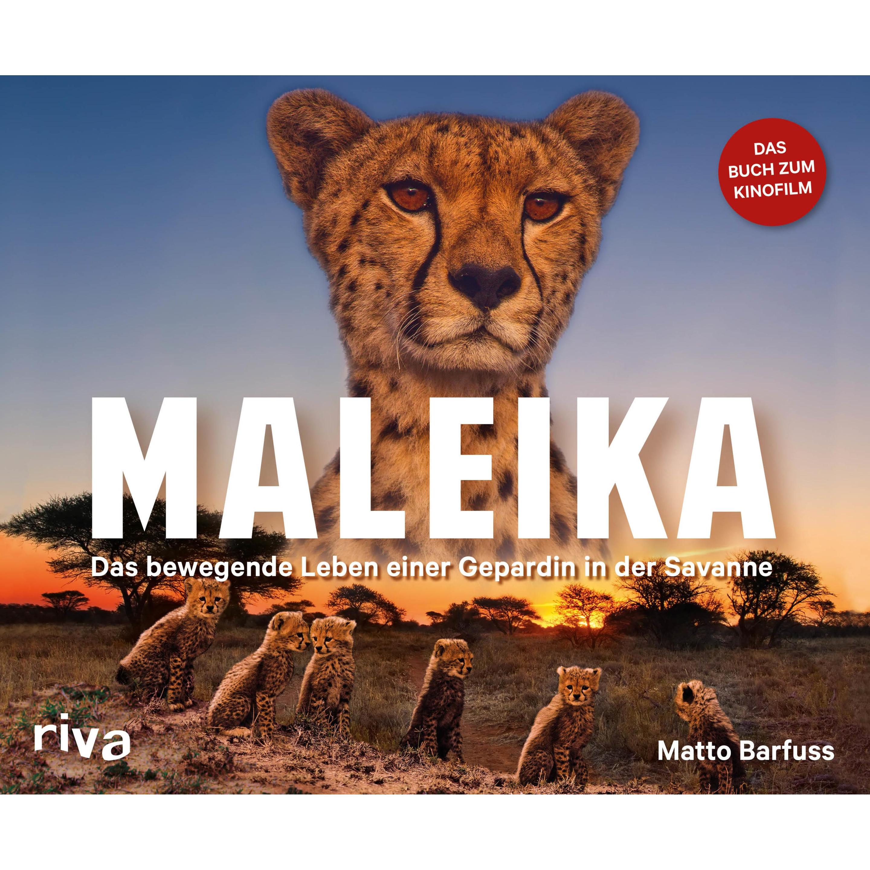 Maleika, Ratgeber von Matto Barfuss