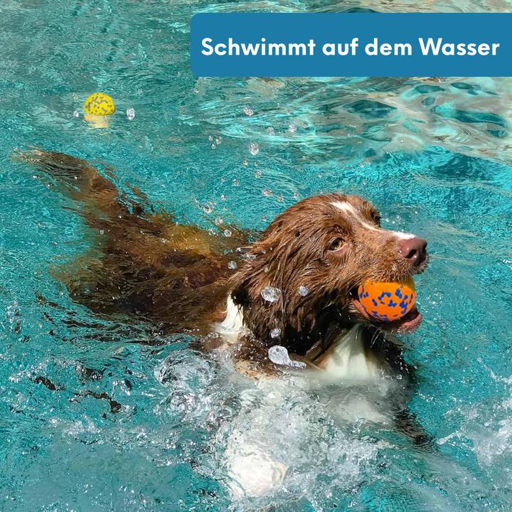 Immagine prodotto Suba Interaktiver Hundeball (Palla giocattolo per cani)