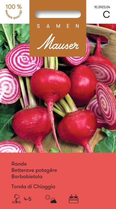 Actual product image Samen Mauser Rande Tonda di Chioggia (Vegetable seeds)