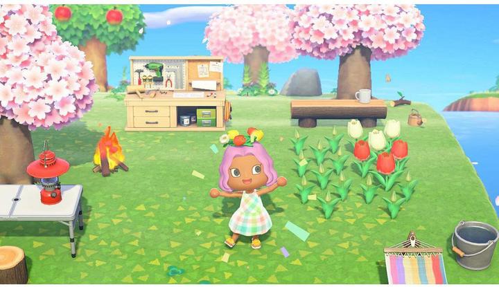 Actual product image Nintendo Animal Crossing: New Horizons (Switch, Multilingual)