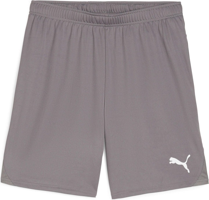 Actual product image Puma teamGOAL shorts (S)