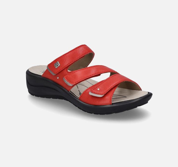 Actual product image Westland 25904-644 (41)