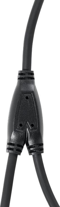 Image du produit Bemero BAC4043-75BK Câble adaptateur en Y 1x XLRf - 2x XLRm 0.75m noir (0.75 m, Câbles XLR)