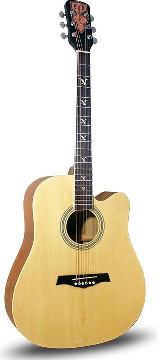 PDT MS W-800 Premium Guitar Kit Nat