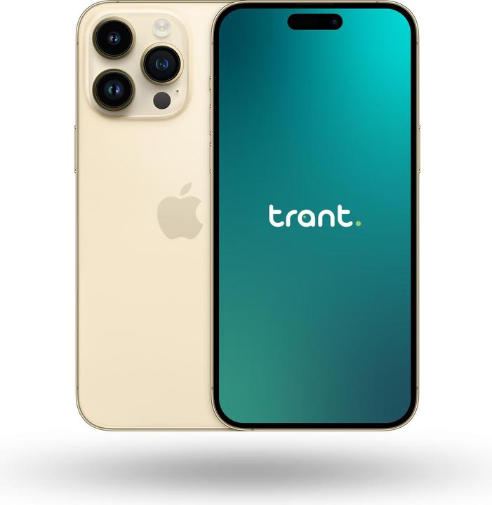 Trant.ch iPhone 14 Pro Max (1000 GB, Gold, 6.70", Dual SIM, B / Sehr gut)