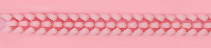 Immagine prodotto Fleshlight Lady Touch
