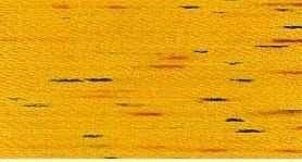 2314