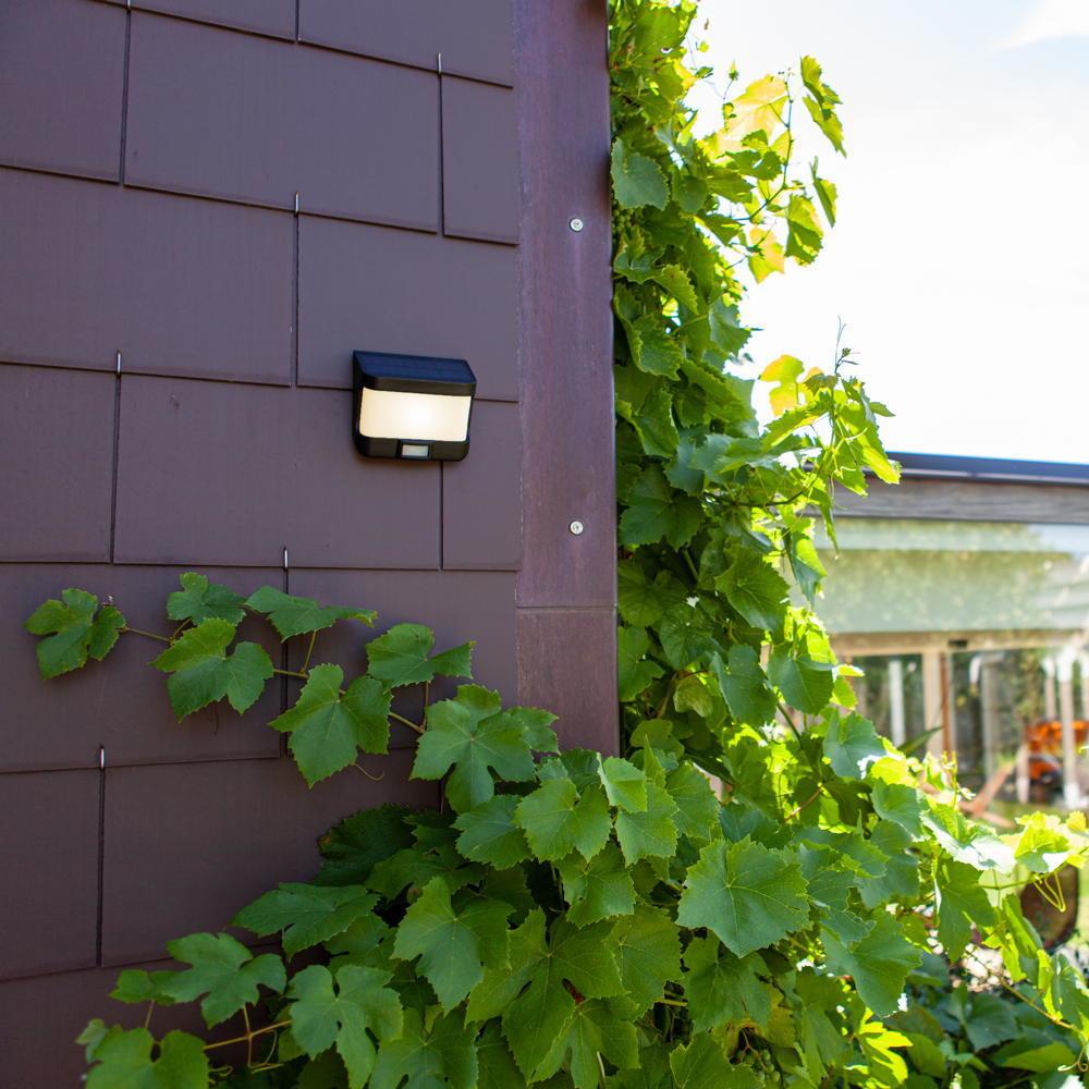 Thumbnail - Lutec, Gartenbeleuchtung, Try (500 lm, IP54)