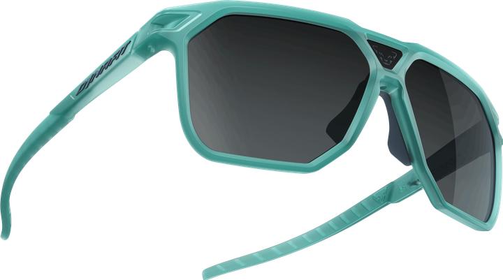 Image du produit Dynafit Traverse Lunettes de soleil unisexe