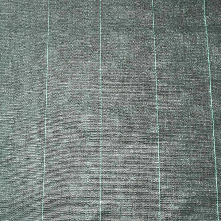 Produktbild Nature Gran (2500 cm, 210 cm)