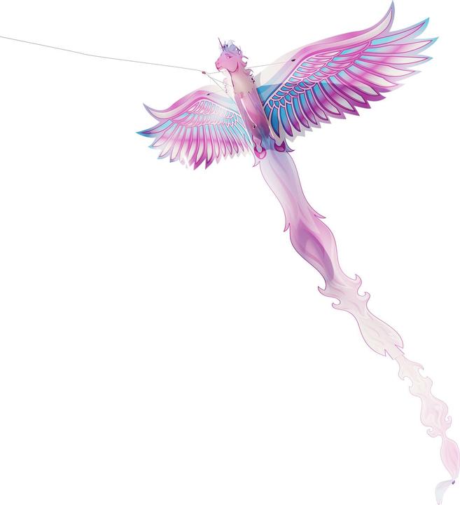 Produktbild Eolo Kites Ready 2 Fly