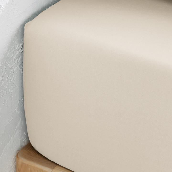 Image du produit La Redoute Interieurs Drap-housse Scenario en percale de coton (100 x 200 cm)