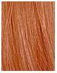 Actual product image Sebastian Cellophanes (Cinnamon Red)