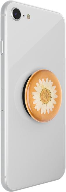 Actual product image PopSockets Pressed Flower Daisy