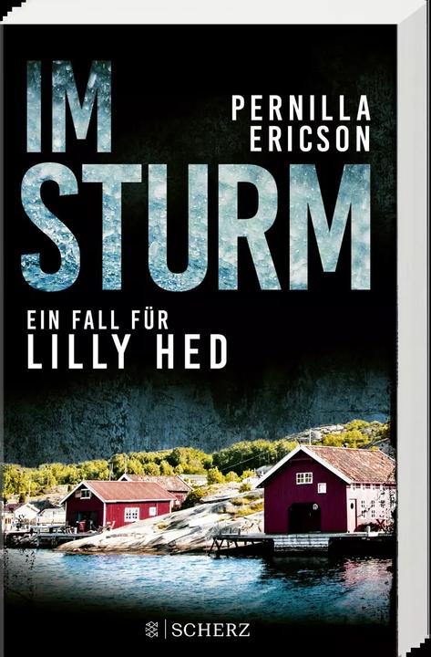 Produktbild Im Sturm (Deutsch, Ericson, Pernilla, 2023)