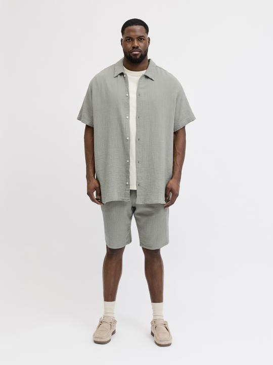 Immagine prodotto Jack & Jones Hemd Plus Size Hemd (4XL)