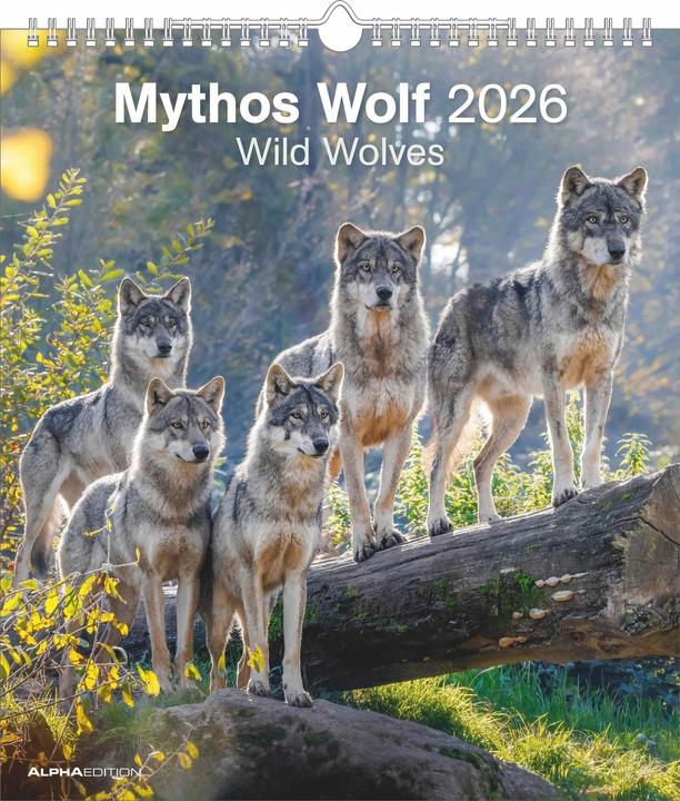 Actual product image Alpha Edition Mythos Wolf 2026 - Foto-Kalender - Wand-Kalender - 30x34 (30 x 34 cm, Hardcover, French, Dutch, English, German)
