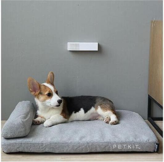 Produktbild Petkit Pura Air Smart Odor Eliminator (Hund, Katze)