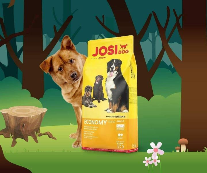 Actual product image Josera JosiDog Economy daily dry food for adult dogs 15kg (Senior, 1 pcs., 15000 g)