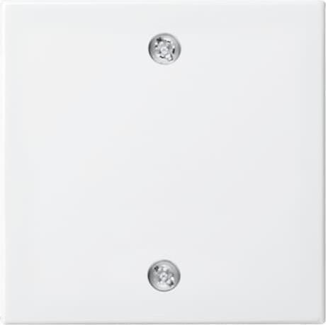 Actual product image Busch-Jaeger Central disc