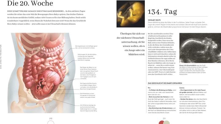 Immagine prodotto Alles über meine Schwangerschaft Tag für Tag (Tedesco, Anke Wellner-Kempf, Dott.ssa Maggie Blott, 2023)
