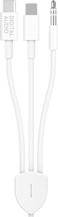 Immagine prodotto Deltalabs Lightning / 3.5mm AUX / USB C auf 3.5mm AUX Musik Adapter Kabel Konverter - 120cm (Jack da 3.5mm, Lightning, USB tipo C, Jack da 3.5mm)