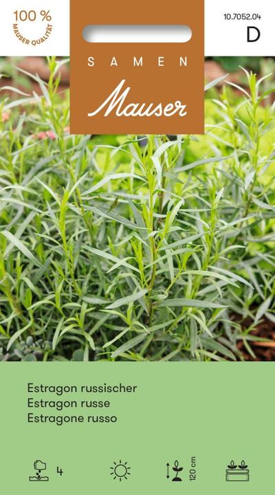 Produktbild Samen Mauser Estragon, russischer (Kräutersamen)