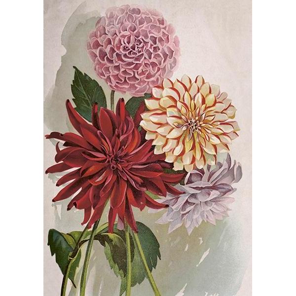 Sköna Ting, Biglietto di auguri + Carta da lettere, ST454 B6-Karte + Dalia-Umschlag (1 pz.)