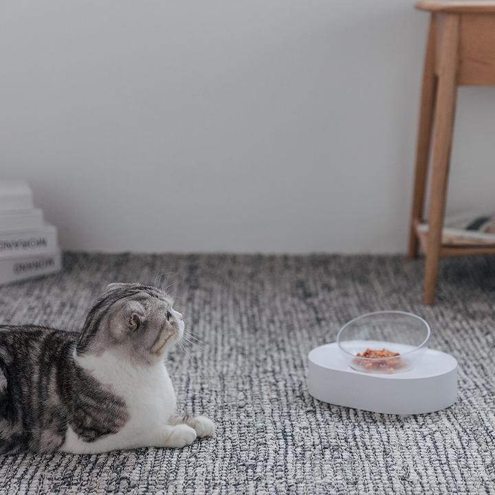 Actual product image Petkit Fresh Nano (0.24 l)