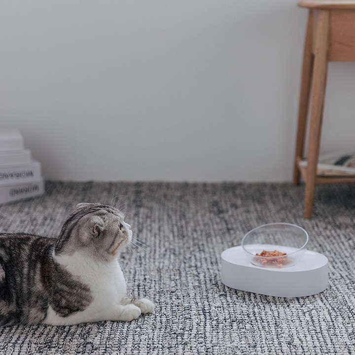 Actual product image Petkit Fresh Nano (0.24 l)
