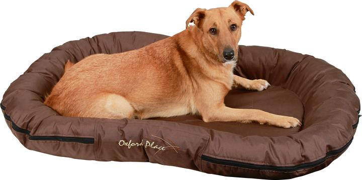 Produktbild Kerbl Liegekissen Oxford Place braun, 120x85x17 cm (Hund, Katze)