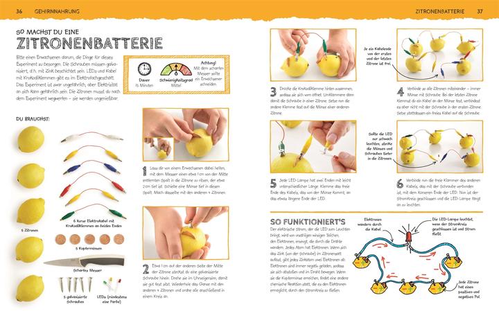 Produktbild Das Superlabor (Deutsch, Robert Winston, 2017)