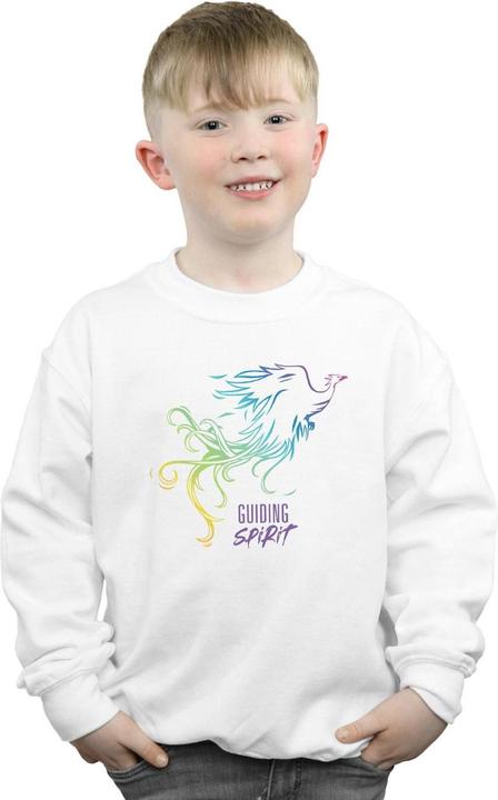 Produktbild Disney Mulan Movie Phoenix Guiding Spirit Sweatshirt Jungen (152, 158)