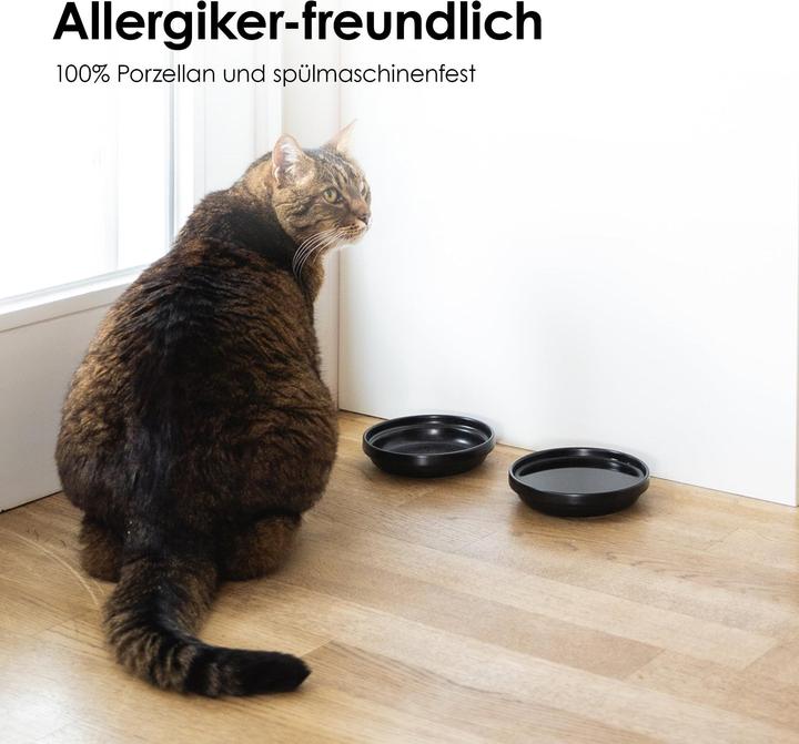 Produktbild LucyBalu BOWL Porzellan Katzennapf