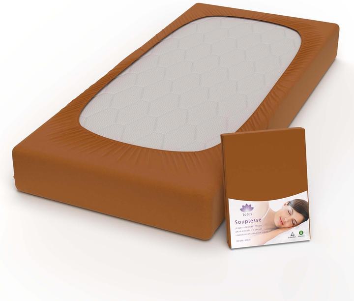 Image du produit Lotus Bettwaren Drap-housse en jersey Souplesse (120 x 200 cm)