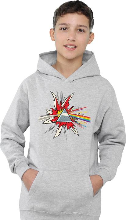 Produktbild Pink Floyd Dark Side Of The Moon Immersion Kapuzenpullover meliert (128)