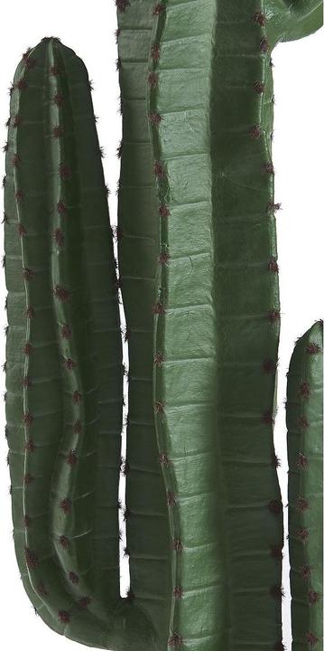 Immagine prodotto Ozaia Guada (145 cm)