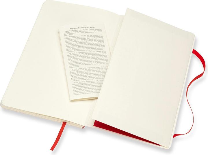 Actual product image Moleskine Notizbuch Large (Special, Checked, Soft cover)