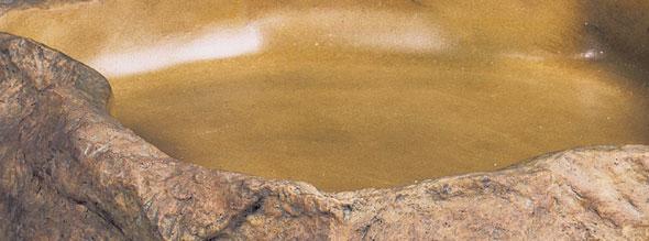 Immagine prodotto Exo Terra Ciotola M 22x19x3.5cm