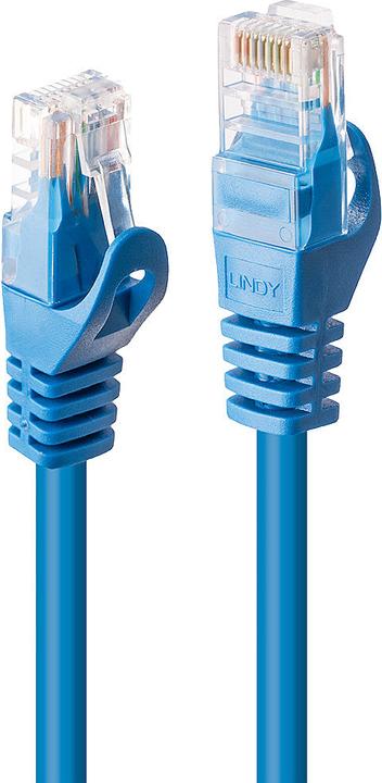 Actual product image Lindy Network cable (U/UTP, CAT6, 3 m)