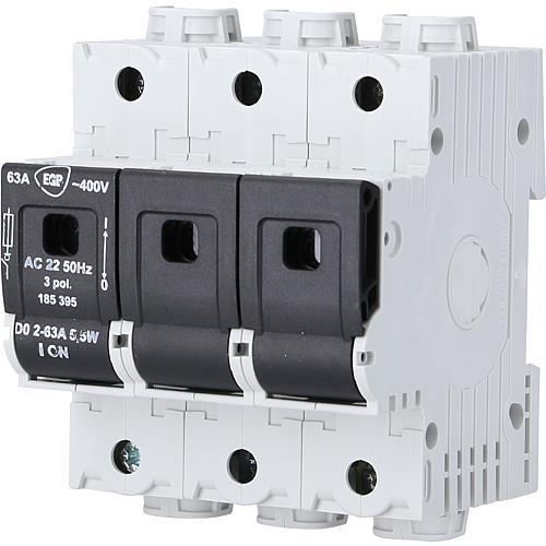 Actual product image EGB Switch-disconnector (Neozed fuse, 63 A)