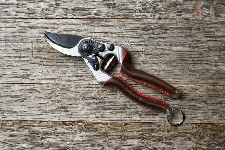 Actual product image Felco Astschere Elite Edition