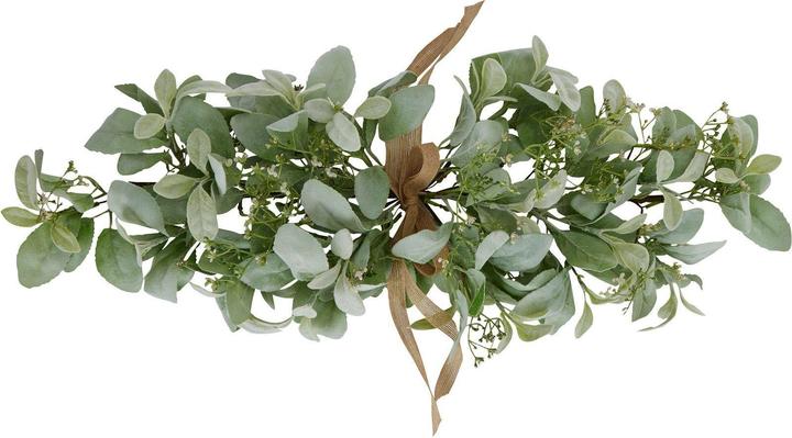 affenblatt monstera Monstera-Affenblatt inklusive Mand Scott + Weihnachtsgeschenkgutschein