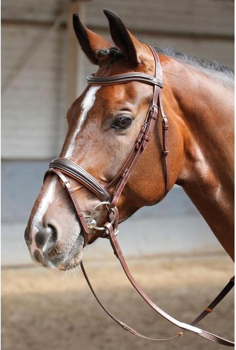 Image du produit Harry's Horse Bridons souple