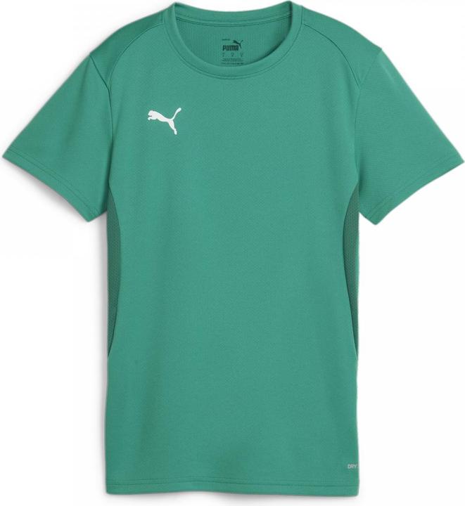 Actual product image Puma teamGOAL Jersey Wmn (XL)